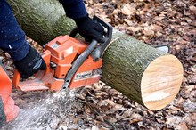 LZ Blecher: Technische Hilfe Baum (Hahnenberg)